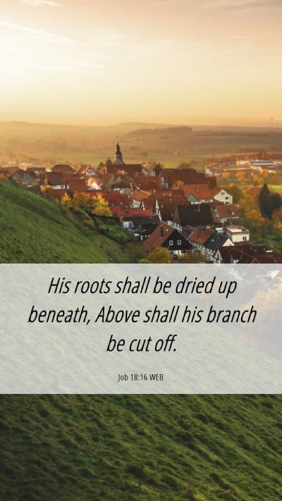 Picture 06 - Job 18:16 WEB Mobile Phone Wallpaper - His roots shall be dried up beneath, Above shall - Mobile Bible Verse Wallpaper