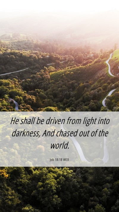 Picture 06 - Job 18:18 WEB Mobile Phone Wallpaper - He shall be driven from light into darkness, And - Mobile Bible Verse Wallpaper