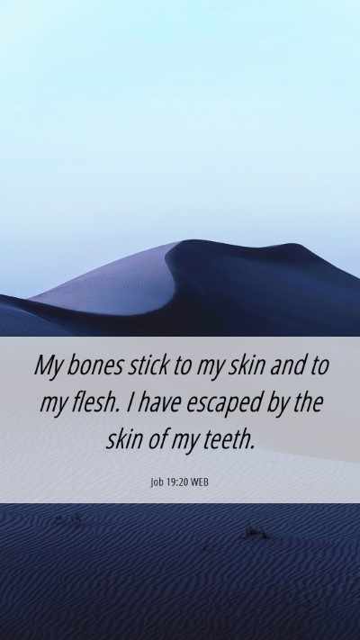 Picture 06 - Job 19:20 WEB Mobile Phone Wallpaper - My bones stick to my skin and to my flesh. I have - Mobile Bible Verse Wallpaper