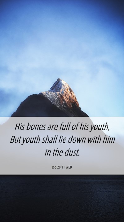 Picture 06 - Job 20:11 WEB Mobile Phone Wallpaper - His bones are full of his youth, But youth shall - Mobile Bible Verse Wallpaper