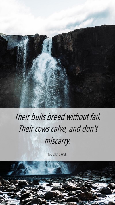 Picture 06 - Job 21:10 WEB Mobile Phone Wallpaper - Their bulls breed without fail. Their cows calve, - Mobile Bible Verse Wallpaper