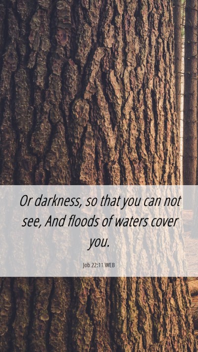 Picture 06 - Job 22:11 WEB Mobile Phone Wallpaper - Or darkness, so that you can not see, And floods - Mobile Bible Verse Wallpaper