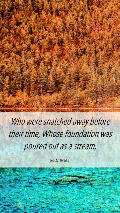 Picture 06 - Job 22:16 WEB Mobile Phone Wallpaper - Who were snatched away before their time, Whose - Mobile Bible Verse Wallpaper