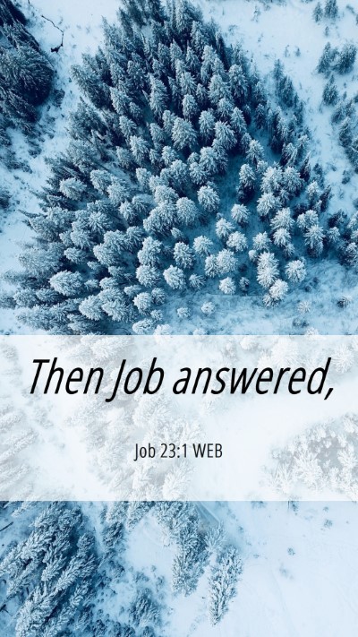 Picture 06 - Job 23:1 WEB Mobile Phone Wallpaper - Then Job - Mobile Bible Verse Wallpaper