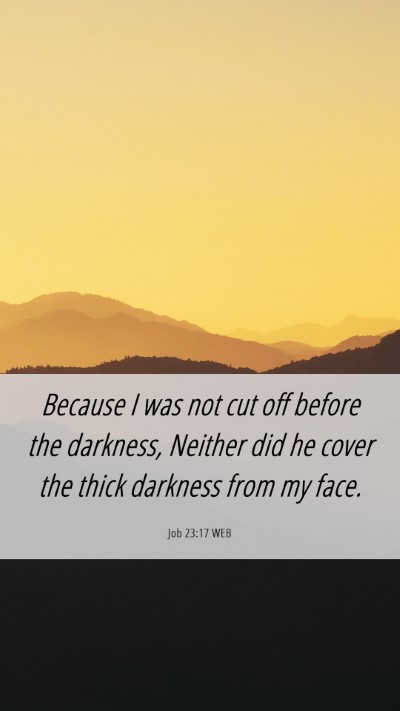Picture 06 - Job 23:17 WEB Mobile Phone Wallpaper - Because I was not cut off before the darkness, - Mobile Bible Verse Wallpaper