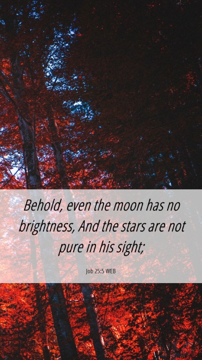 Picture 06 - Job 25:5 WEB Mobile Phone Wallpaper - Behold, even the moon has no brightness, And the - Mobile Bible Verse Wallpaper