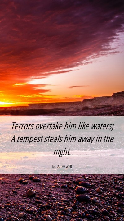 Picture 06 - Job 27:20 WEB Mobile Phone Wallpaper - Terrors overtake him like waters; A tempest - Mobile Bible Verse Wallpaper