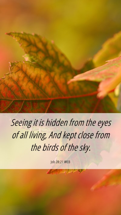 Picture 06 - Job 28:21 WEB Mobile Phone Wallpaper - Seeing it is hidden from the eyes of all living, - Mobile Bible Verse Wallpaper