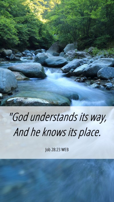 Picture 06 - Job 28:23 WEB Mobile Phone Wallpaper - 
