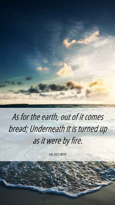 Picture 06 - Job 28:5 WEB Mobile Phone Wallpaper - As for the earth, out of it comes bread; - Mobile Bible Verse Wallpaper