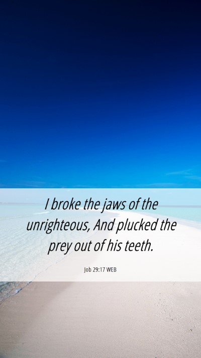 Picture 06 - Job 29:17 WEB Mobile Phone Wallpaper - I broke the jaws of the unrighteous, And plucked - Mobile Bible Verse Wallpaper