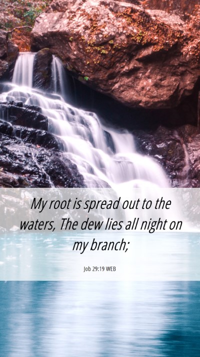 Picture 06 - Job 29:19 WEB Mobile Phone Wallpaper - My root is spread out to the waters, The dew lies - Mobile Bible Verse Wallpaper