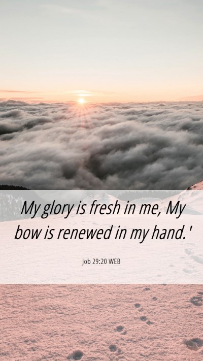 Picture 06 - Job 29:20 WEB Mobile Phone Wallpaper - My glory is fresh in me, My bow is renewed in my - Mobile Bible Verse Wallpaper