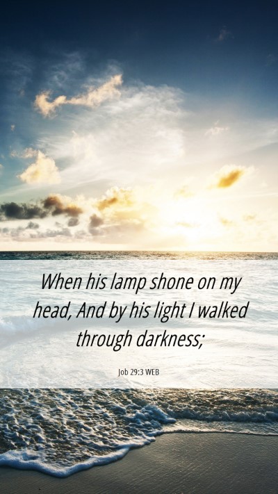 Picture 06 - Job 29:3 WEB Mobile Phone Wallpaper - When his lamp shone on my head, And by his light - Mobile Bible Verse Wallpaper