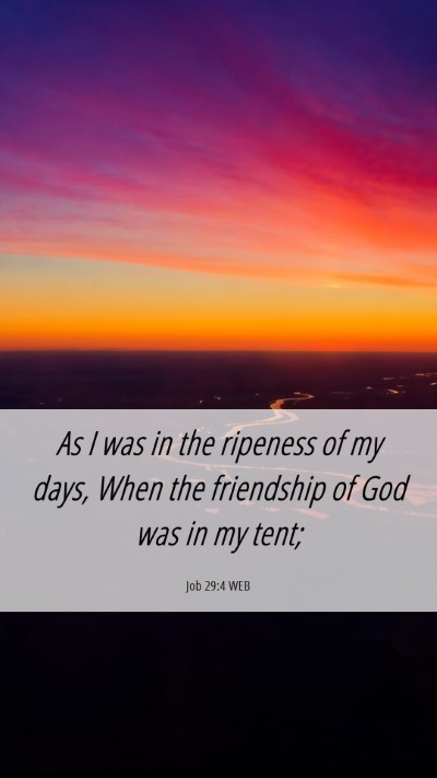 Picture 06 - Job 29:4 WEB Mobile Phone Wallpaper - As I was in the ripeness of my days, When the - Mobile Bible Verse Wallpaper