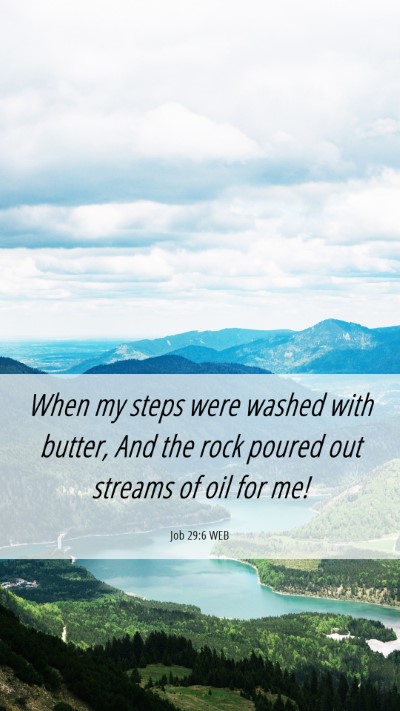 Picture 06 - Job 29:6 WEB Mobile Phone Wallpaper - When my steps were washed with butter, And the - Mobile Bible Verse Wallpaper