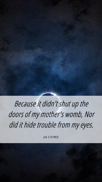 Picture 06 - Job 3:10 WEB Mobile Phone Wallpaper - Because it didn't shut up the doors of my - Mobile Bible Verse Wallpaper