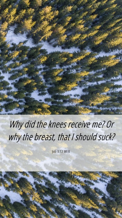 Picture 06 - Job 3:12 WEB Mobile Phone Wallpaper - Why did the knees receive me? Or why the breast, - Mobile Bible Verse Wallpaper