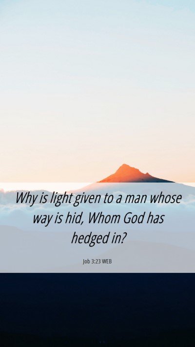 Picture 06 - Job 3:23 WEB Mobile Phone Wallpaper - Why is light given to a man whose way is hid, - Mobile Bible Verse Wallpaper