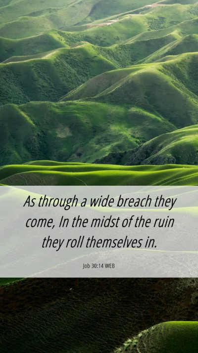 Picture 06 - Job 30:14 WEB Mobile Phone Wallpaper - As through a wide breach they come, In the midst - Mobile Bible Verse Wallpaper