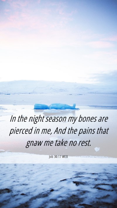 Picture 06 - Job 30:17 WEB Mobile Phone Wallpaper - In the night season my bones are pierced in me, - Mobile Bible Verse Wallpaper