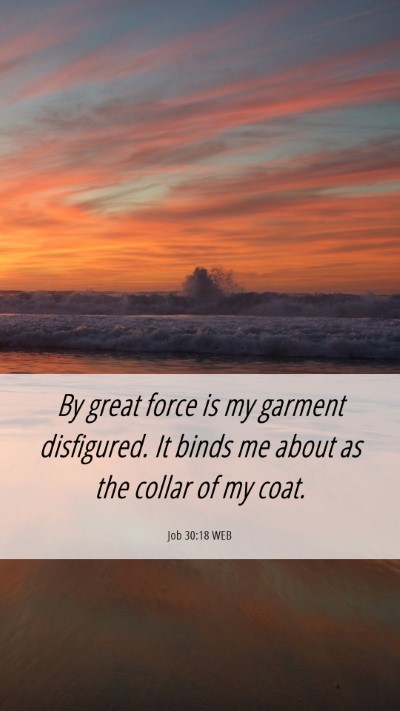 Picture 06 - Job 30:18 WEB Mobile Phone Wallpaper - By great force is my garment disfigured. It binds - Mobile Bible Verse Wallpaper