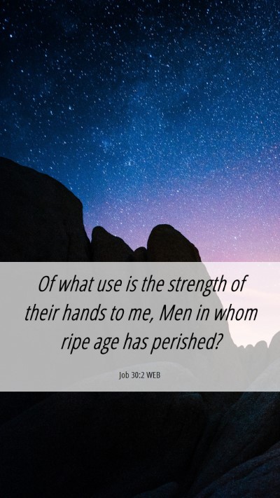 Picture 06 - Job 30:2 WEB Mobile Phone Wallpaper - Of what use is the strength of their hands to me, - Mobile Bible Verse Wallpaper