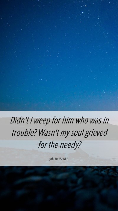 Picture 06 - Job 30:25 WEB Mobile Phone Wallpaper - Didn't I weep for him who was in trouble? Wasn't - Mobile Bible Verse Wallpaper