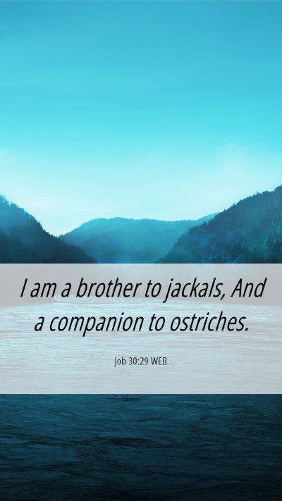 Picture 06 - Job 30:29 WEB Mobile Phone Wallpaper - I am a brother to jackals, And a companion to - Mobile Bible Verse Wallpaper