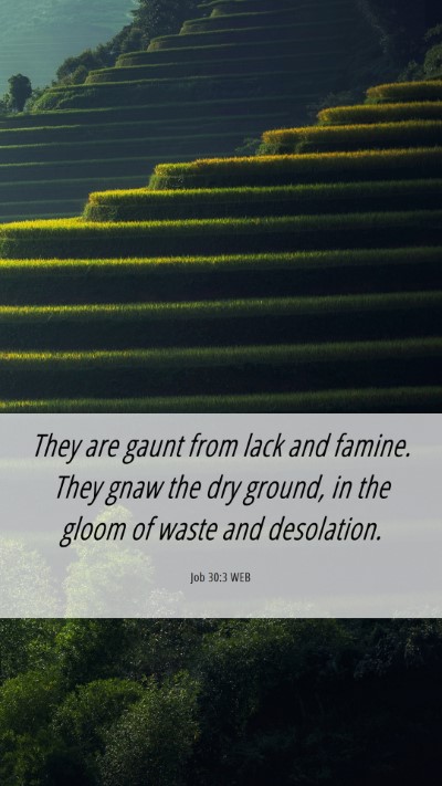 Picture 06 - Job 30:3 WEB Mobile Phone Wallpaper - They are gaunt from lack and famine. They gnaw - Mobile Bible Verse Wallpaper