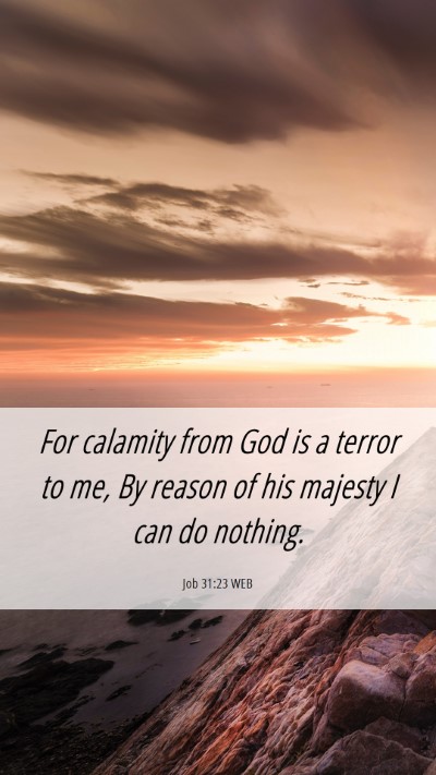 Picture 06 - Job 31:23 WEB Mobile Phone Wallpaper - For calamity from God is a terror to me, By - Mobile Bible Verse Wallpaper