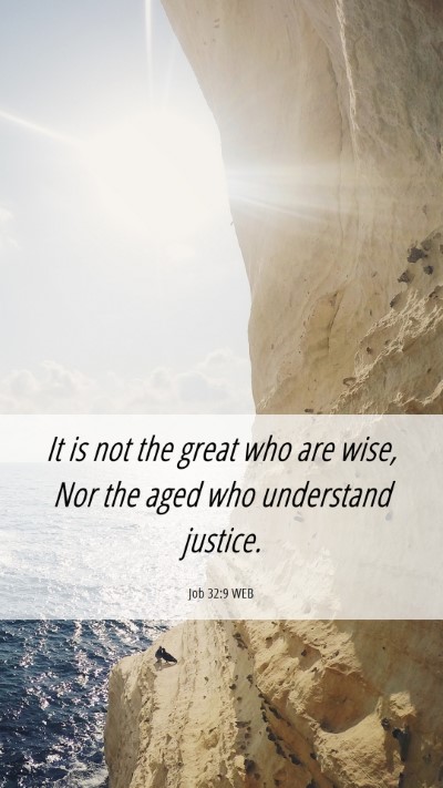 Picture 06 - Job 32:9 WEB Mobile Phone Wallpaper - It is not the great who are wise, Nor the aged - Mobile Bible Verse Wallpaper