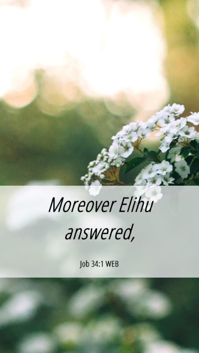 Picture 06 - Job 34:1 WEB Mobile Phone Wallpaper - Moreover Elihu - Mobile Bible Verse Wallpaper