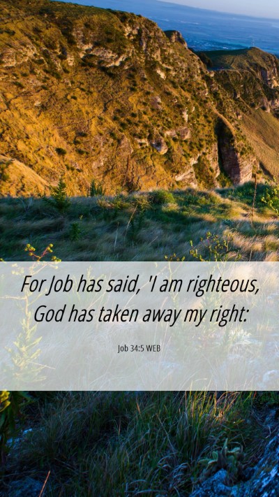 Picture 06 - Job 34:5 WEB Mobile Phone Wallpaper - For Job has said, 'I am righteous, God has taken - Mobile Bible Verse Wallpaper