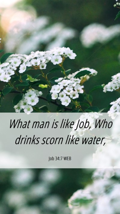 Picture 06 - Job 34:7 WEB Mobile Phone Wallpaper - What man is like Job, Who drinks scorn like - Mobile Bible Verse Wallpaper