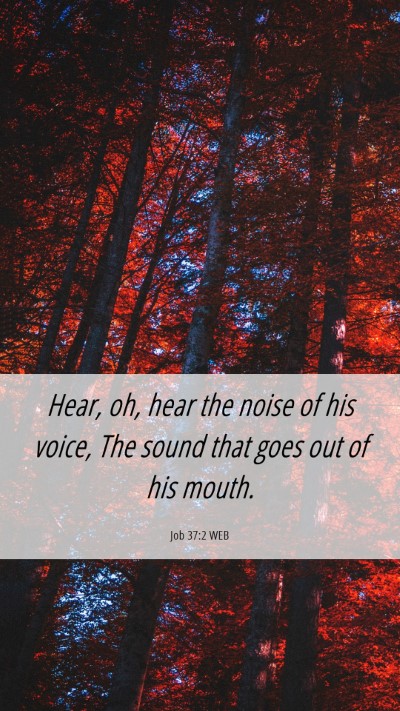 Picture 06 - Job 37:2 WEB Mobile Phone Wallpaper - Hear, oh, hear the noise of his voice, The sound - Mobile Bible Verse Wallpaper