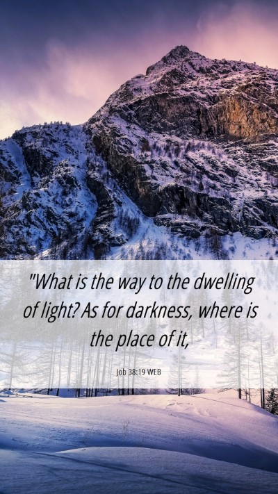 Picture 06 - Job 38:19 WEB Mobile Phone Wallpaper - 