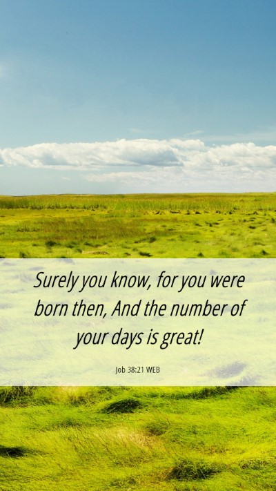 Picture 06 - Job 38:21 WEB Mobile Phone Wallpaper - Surely you know, for you were born then, And the - Mobile Bible Verse Wallpaper