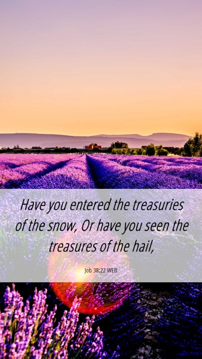 Picture 06 - Job 38:22 WEB Mobile Phone Wallpaper - Have you entered the treasuries of the snow, Or - Mobile Bible Verse Wallpaper