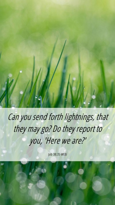 Picture 06 - Job 38:35 WEB Mobile Phone Wallpaper - Can you send forth lightnings, that they may go? - Mobile Bible Verse Wallpaper