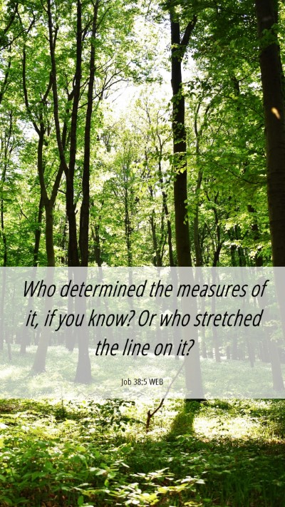 Picture 06 - Job 38:5 WEB Mobile Phone Wallpaper - Who determined the measures of it, if you know? - Mobile Bible Verse Wallpaper