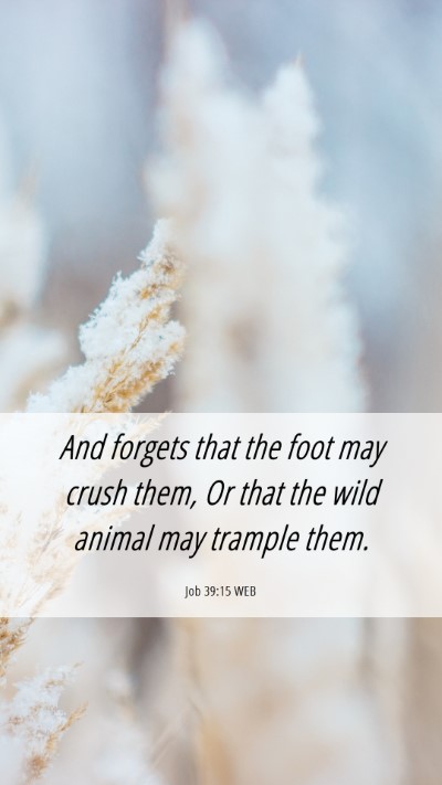 Picture 06 - Job 39:15 WEB Mobile Phone Wallpaper - And forgets that the foot may crush them, Or that - Mobile Bible Verse Wallpaper
