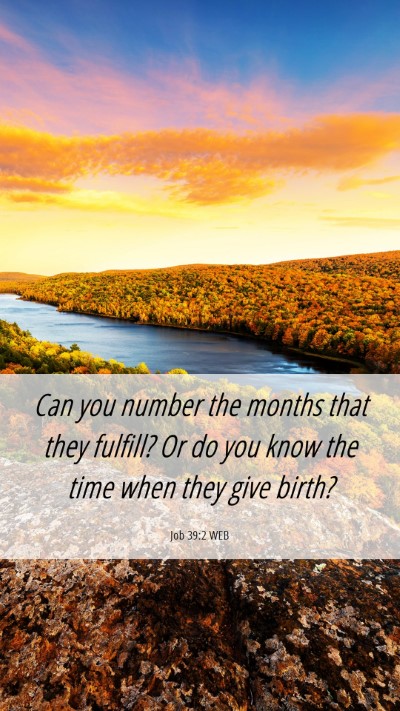 Picture 06 - Job 39:2 WEB Mobile Phone Wallpaper - Can you number the months that they fulfill? Or - Mobile Bible Verse Wallpaper