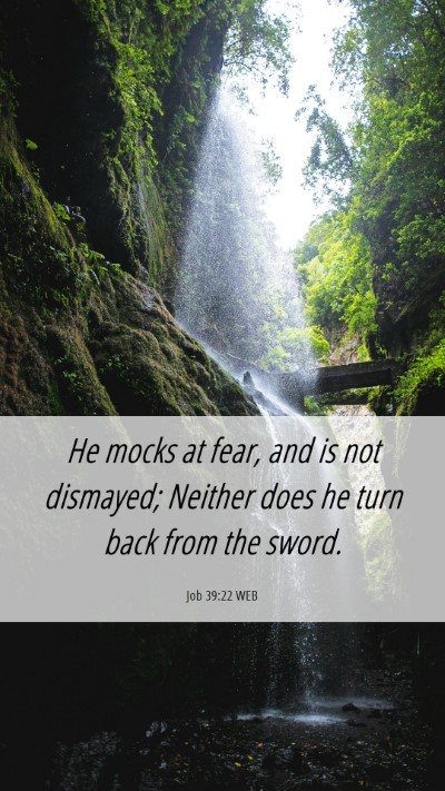 Picture 06 - Job 39:22 WEB Mobile Phone Wallpaper - He mocks at fear, and is not dismayed; Neither - Mobile Bible Verse Wallpaper