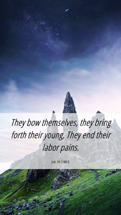 Picture 06 - Job 39:3 WEB Mobile Phone Wallpaper - They bow themselves, they bring forth their - Mobile Bible Verse Wallpaper