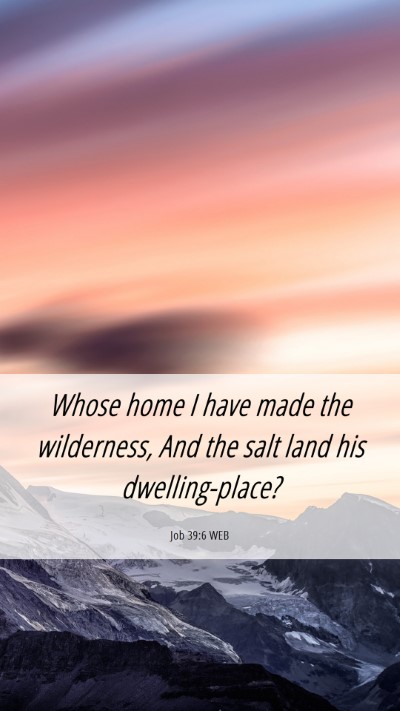 Picture 06 - Job 39:6 WEB Mobile Phone Wallpaper - Whose home I have made the wilderness, And the - Mobile Bible Verse Wallpaper