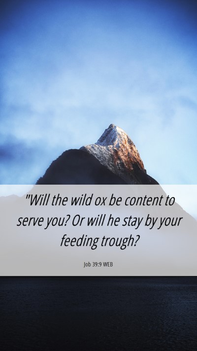 Picture 06 - Job 39:9 WEB Mobile Phone Wallpaper - 