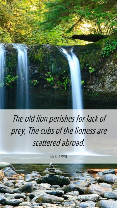 Picture 06 - Job 4:11 WEB Mobile Phone Wallpaper - The old lion perishes for lack of prey, The cubs - Mobile Bible Verse Wallpaper