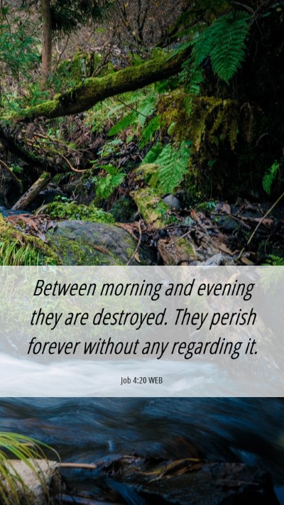 Picture 06 - Job 4:20 WEB Mobile Phone Wallpaper - Between morning and evening they are destroyed. - Mobile Bible Verse Wallpaper
