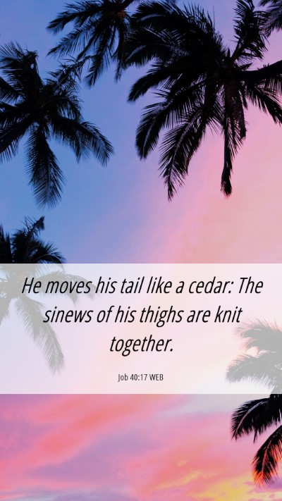 Picture 06 - Job 40:17 WEB Mobile Phone Wallpaper - He moves his tail like a cedar: The sinews of his - Mobile Bible Verse Wallpaper